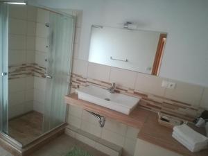 uma casa de banho com um lavatório e um chuveiro em Apartmán Danka em Banská Bystrica