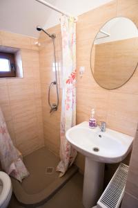 a bathroom with a sink and a shower at Pensiunea Casa Elena in Corbeni