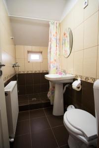 a bathroom with a sink and a toilet at Pensiunea Casa Elena in Corbeni