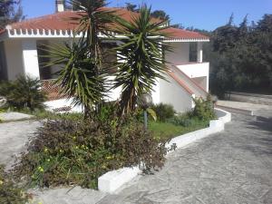 Vonkajšia záhrada v ubytovaní Villa Solinas