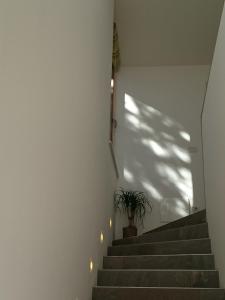 Kép VILLA MILLY szállásáról Appiano sulla Strada del Vinóban a galériában