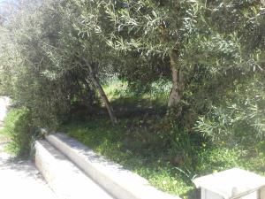 Vonkajšia záhrada v ubytovaní Villa Solinas