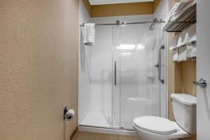 蒙哥马利Comfort Inn & Suites Montgomery East Carmichael Rd的带淋浴和卫生间的浴室