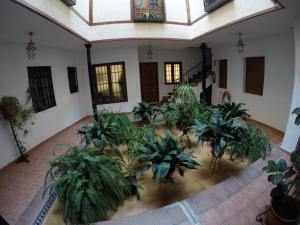 Fotografie z fotogalerie ubytování Apartamento Toledo San Justo v destinaci Toledo
