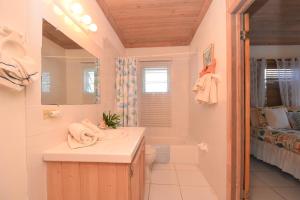 a bathroom with a sink and a toilet and a tub at The Sugar Apple Lodging in Harbour Island +57 photos