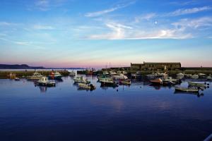 eine Gruppe von Booten liegt in einem Hafen vor Anker in der Unterkunft Pebbles in Lyme Regis