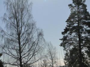 Fotografie z fotogalerie ubytování Sunne Hembygdsgård B&B v destinaci Sunne