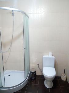 Koupelna v ubytování Dovbushanka Hotel