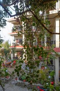 Zahrada ubytování Hotel Chitwan Park Village