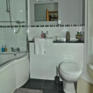 a bathroom with a toilet and a sink and a tub at Alpine Lodge Guest House in Llanberis