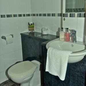 a bathroom with a toilet and a sink at Alpine Lodge Guest House in Llanberis