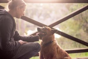 a woman is petting a brown dog at Che Sara Sara Chalets in Walpole