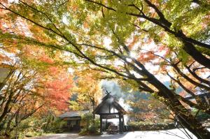 南小国町にある黒川温泉　奥の湯の木々が生い茂る森の真ん中にある塔