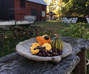a plate of fruit on a wooden table at Rosenborgs Friluftspensionat in Färjestaden