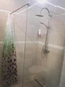 グディニャにあるWilla Rybitwaのバスルーム(ガラスドア付きのシャワー付)