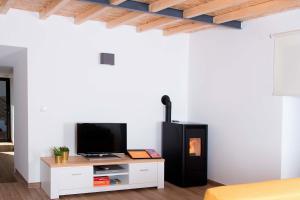 a living room with a tv and a fireplace at Casa do Largo do Cruzeiro in Vouzela
