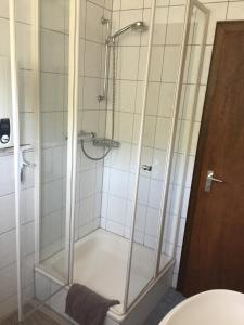 een douche met een glazen deur in de badkamer bij Ferienwohnungen Tauscher in Sankt Martin