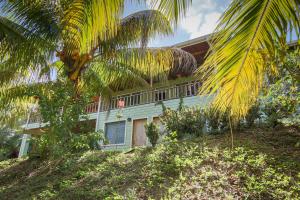 a house with a palm tree in front of it at Los Olingos Lodge in Tela