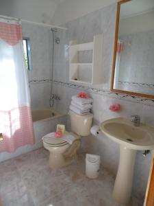 La salle de bains est pourvue de toilettes et d'un lavabo. dans l'établissement Hotel Manutara, à Hanga Roa