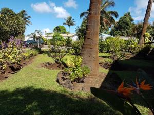 Garður fyrir utan Hotel Manutara