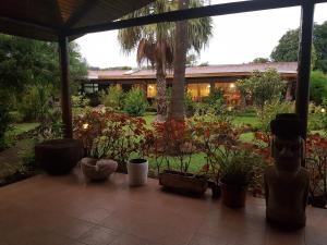 eine Terrasse mit einem Haufen Pflanzen und einem Gebäude in der Unterkunft Hotel Manutara in Hanga Roa