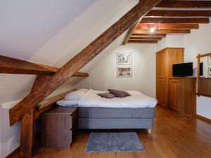 TV a/nebo společenská místnost v ubytování Hotel Auberge D'Alle