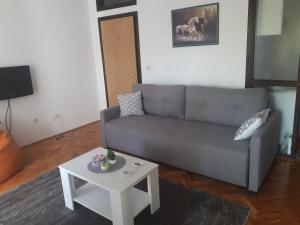 een woonkamer met een bank en een tafel bij Apartment Tijana in Sutomore