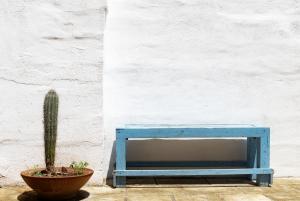 un tavolo blu e un cactus accanto a un muro di Casa Vacanze Capurre "Trulli e Pajare a due passi dal Pizzo" a Gallipoli