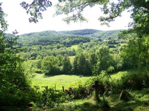vista su un campo verde con alberi e colline di Petite Ferme d'Autrefois a Saint-Georges-Nigremont
