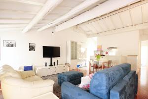 ヴェローナにあるBianco Apartmentのリビングルーム(青いソファ、テレビ付)
