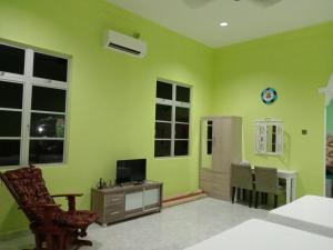 a living room with green walls and a tv and a chair at DYANA INN TRANSIT ROOMS in Kota Bharu