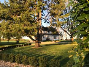 uma casa com uma árvore no quintal em LA FERME D'AIGUROLLES em Saint-Maur