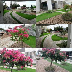 a group of four pictures of a tree with pink flowers at Aruanã Palace Hotel in Colíder