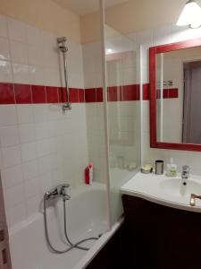a bathroom with a shower and a tub and a sink at Appartement Le parc d Arradoy in Saint-Jean-Pied-de-Port