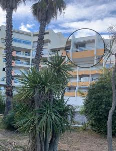 un bâtiment avec des palmiers devant un miroir dans l'établissement Studio Cabine Vue mer et Port, à Carnon-Plage