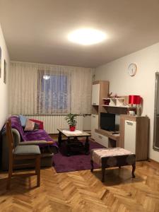 sala de estar con sofá y mesa en Apartment Dada en Bjelovar