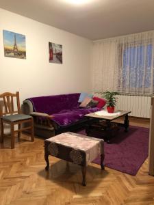 ビェロヴァルにあるApartment Dadaの紫色のソファとテーブル付きのリビングルーム