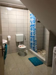 a bathroom with a toilet and a shower at Apartment Dada in Bjelovar