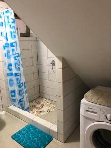 y baño con ducha y lavadora. en Apartment Dada en Bjelovar