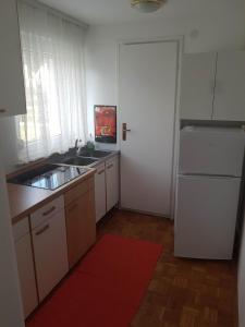 Kjøkken eller kjøkkenkrok på Apartment Lipar Preddvor