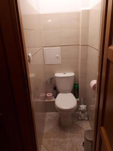 a small bathroom with a toilet and a shower at Pokoje u Danki in Gdynia