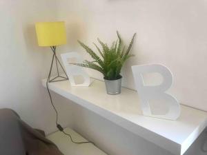 uma prateleira branca com um vaso de plantas e um candeeiro em Il Cuore di Bologna em Bolonha