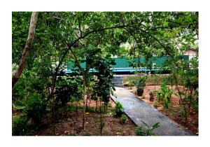 Giardino di Sun and Green Eco Lodge - Dambulla