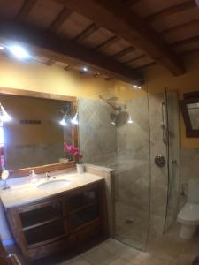 a bathroom with a shower and a sink and a toilet at Es volca in Cadaqués