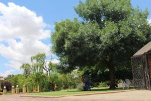 a man standing under a tree in a park at The Willow Tree Guesthouse in Klerksdorp