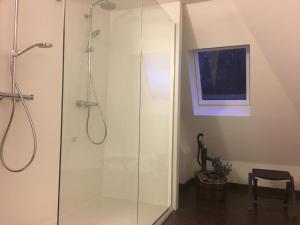 y baño con ducha y puerta de cristal. en Parkhotel Villa des Effats Vielsalm, en Vielsalm