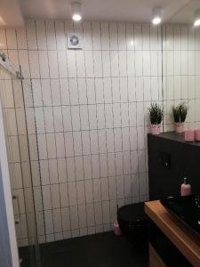 Kúpeľňa v ubytovaní Apartament Superior Maloves Władysławowo
