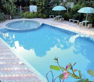 Hotel Anil Farmhouse Gir Jungle Resort tesisinde veya buraya yakın yüzme havuzu