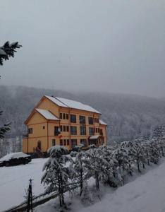 a large building in the snow with trees in front at Pensiunea '' LA PAPA'' in Huta Certeze