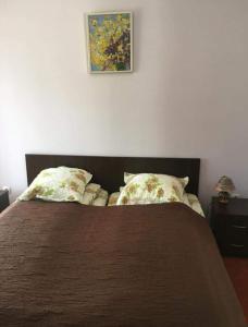 a bed with two pillows and a picture on the wall at Pensiunea '' LA PAPA'' in Huta Certeze